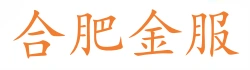合肥金服